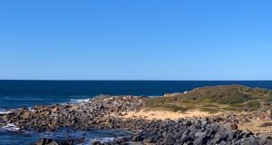 Narooma, NSW.