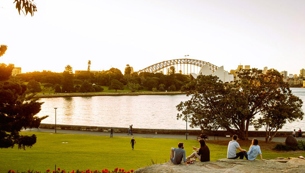WELLNESS DAY_WEBSITE IMAGE