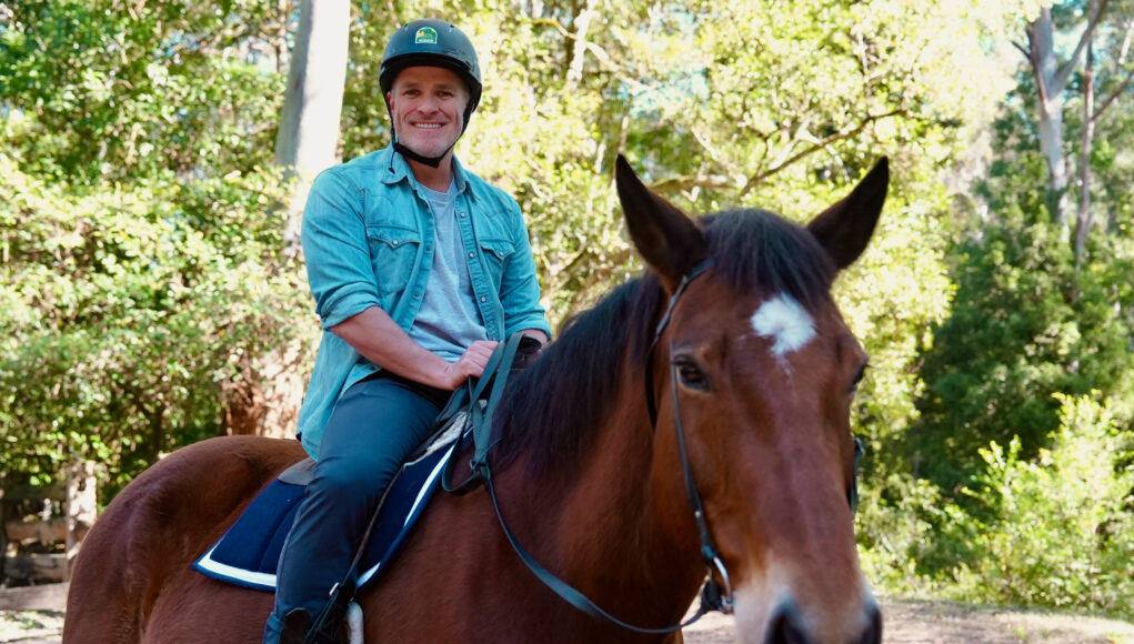 GV HORSES_WEBSITE IMAGE